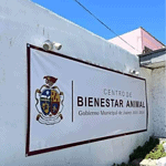 3. 23-oct-24 Creación Dirección de Atención y Bienestar Animal en Juárez (1)