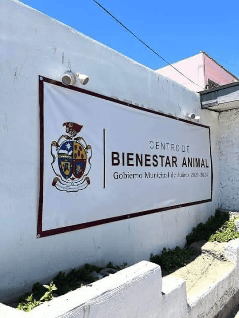 3. 23-oct-24 Creación Dirección de Atención y Bienestar Animal en Juárez (1)