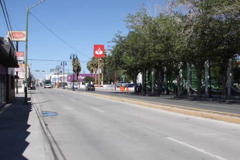 IMG-20241102-WA0003