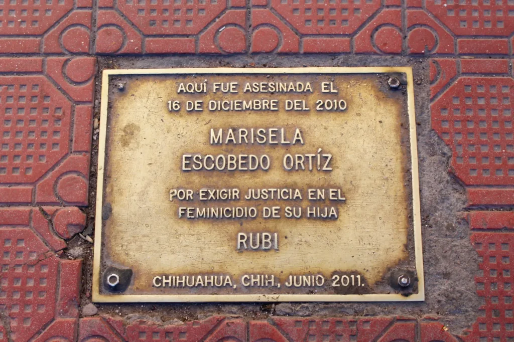 4. 16-dic-24 Marisela Escobedo- 14 Años sin Justicia, pero su Lucha Sigue Viva