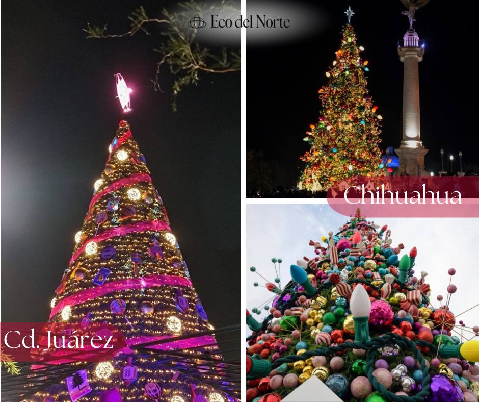 5. 25-dic-24 El árbol navideño de Juárez y su eterno segundo lugar