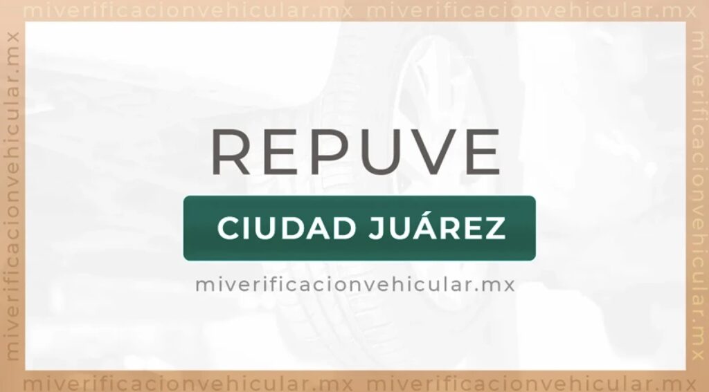 Reapertura del módulo de Repuve en El Punto este lunes