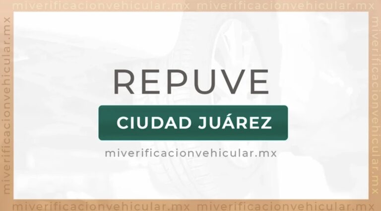Reapertura del módulo de Repuve en El Punto este lunes