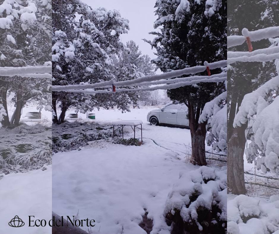 4. 09-ene-25 Nevadas y cierres carreteros afectan a Chihuahua; alertan por heladas y vientos (2)