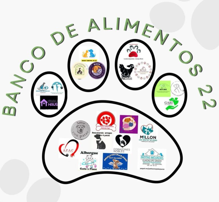 3. 26-feb-25 DABA invita a donar para el Banco de Alimentos 22