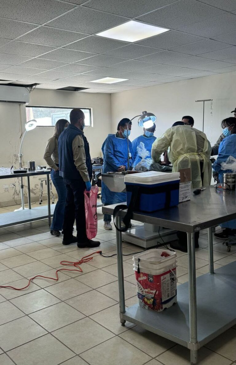 4. 14-feb-25 Capacitan a veterinarios de DABA en técnicas quirúrgicas y salud animal (1)