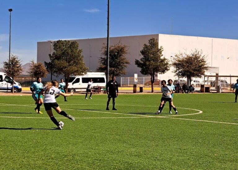 7. 07-feb-25 Estudiantes destacan en los Circuitos Estatales Deportivos y Culturales Universitarios 2025 (1)