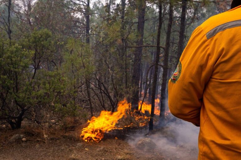 3. 31-mar-25 Reportan siete incendios forestales activos en municipios de Chihuahua (1)