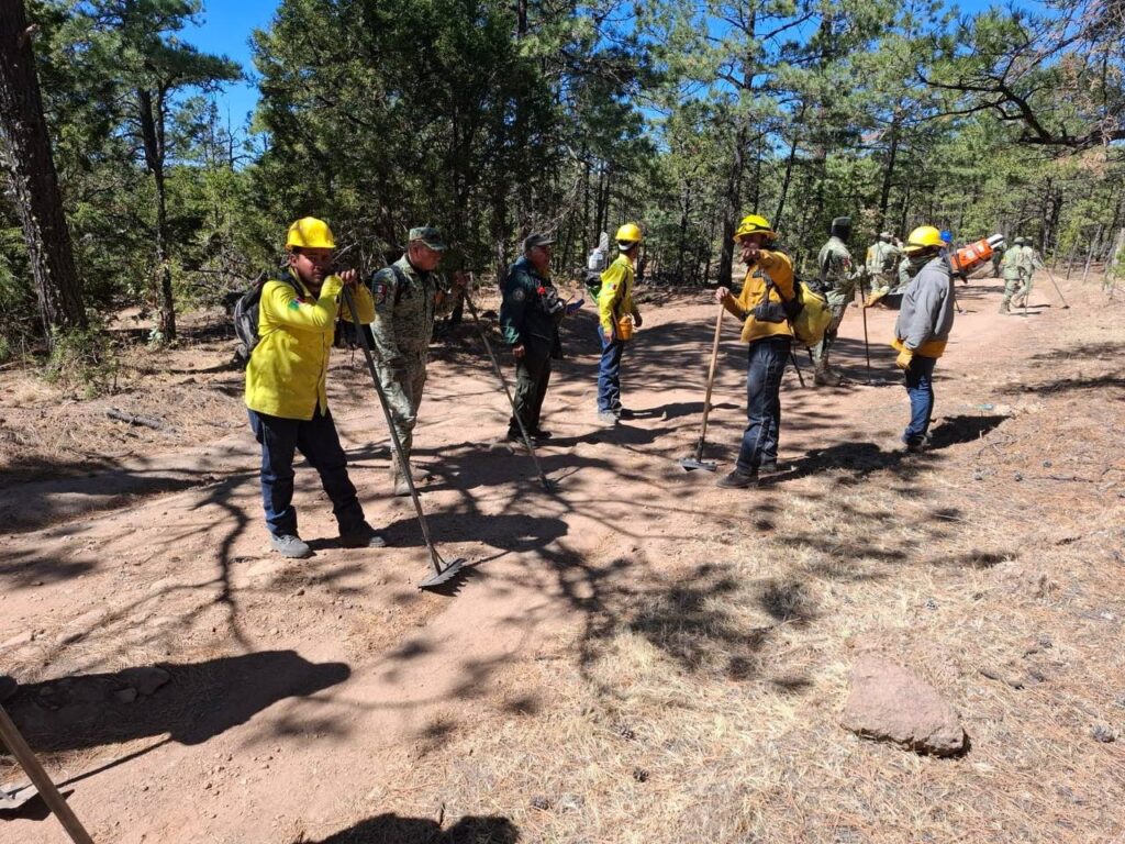 3. 31-mar-25 Reportan siete incendios forestales activos en municipios de Chihuahua (2)