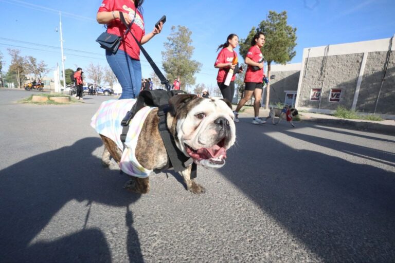 4. 31-mar-25 Corren 350 perritos en carrera familiar y solidaria en El Chamizal (1)