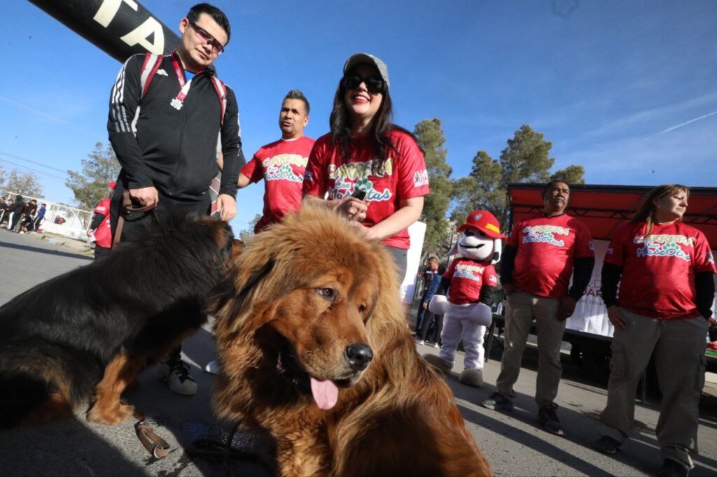 4. 31-mar-25 Corren 350 perritos en carrera familiar y solidaria en El Chamizal (3)