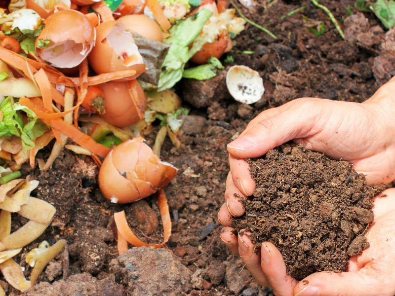 3. 07-abr-25 ¡Productor! - Aprovecha el subsidio del 50% para mejorar tu tierra con bioinsumos (3)