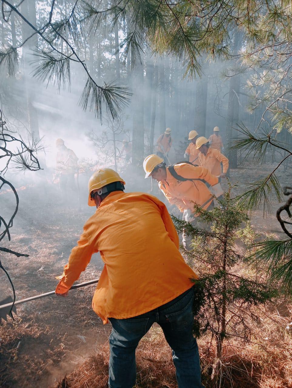 4. 17-abr-25 Siete incendios forestales arrasan con la sierra de Chihuahua en ocho municipios (1)