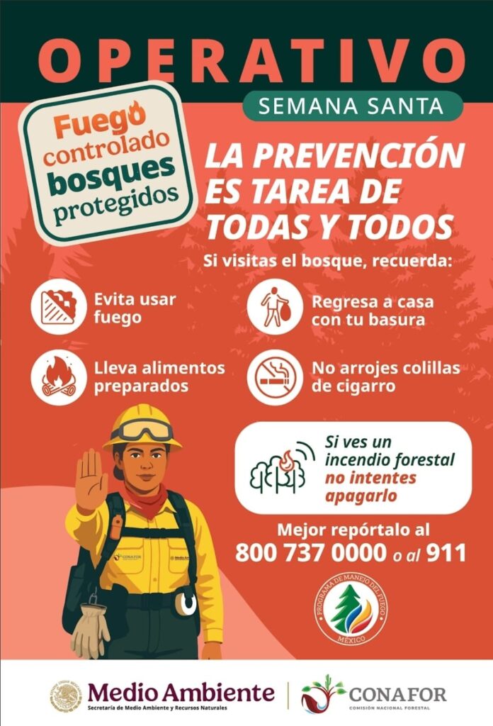 4. 17-abr-25 Siete incendios forestales arrasan con la sierra de Chihuahua en ocho municipios (2)