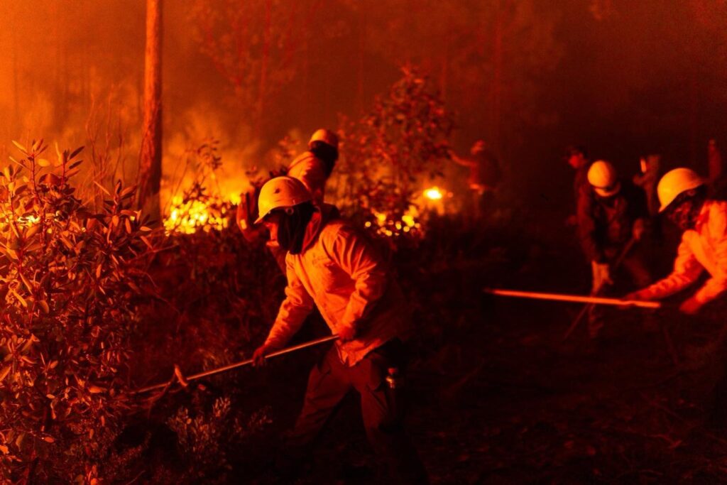 2. 03-may-25 Chihuahua enfrenta más de 17 mil hectáreas afectadas por incendios forestales (1)