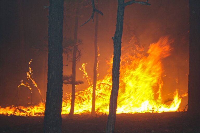 2. 06-may-25 Chihuahua activa fuerza aérea y brigadas contra incendios forestales (1)