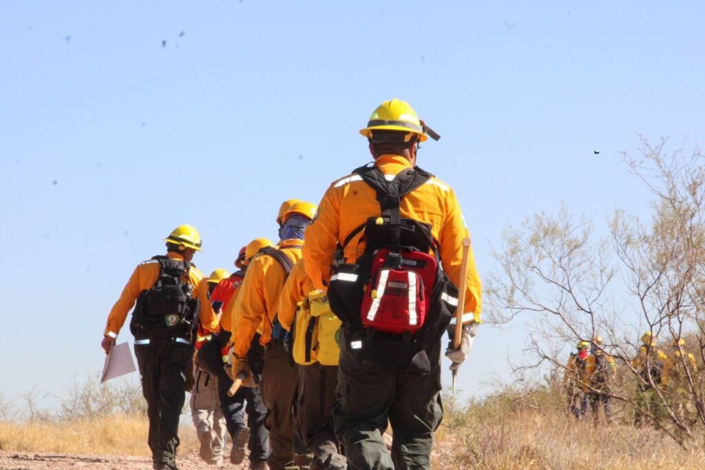 2. 06-may-25 Chihuahua activa fuerza aérea y brigadas contra incendios forestales (2)