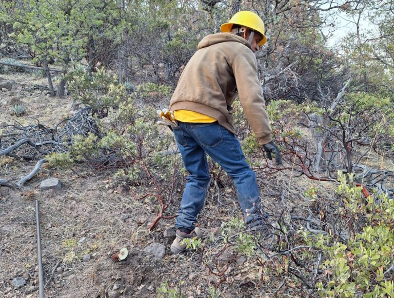 3. 14-may-25 Brigadistas han controlado 388 incendios forestales en Chihuahua durante 2025 (1)