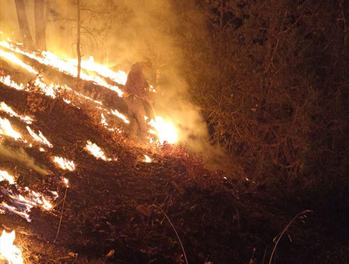 3. 14-may-25 Brigadistas han controlado 388 incendios forestales en Chihuahua durante 2025 (2)