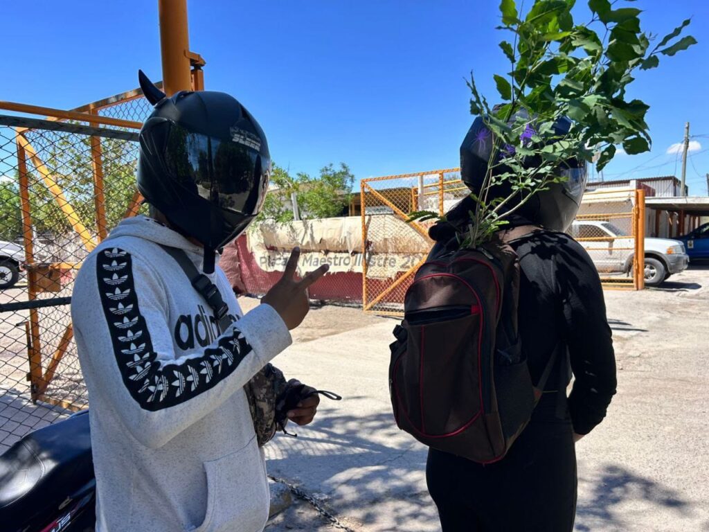 3. 04-jun-25 ¡Llévese un árbol y refresque su calle! Entrega de árboles nativos busca transformar espacios urbanos en Juárez (1)