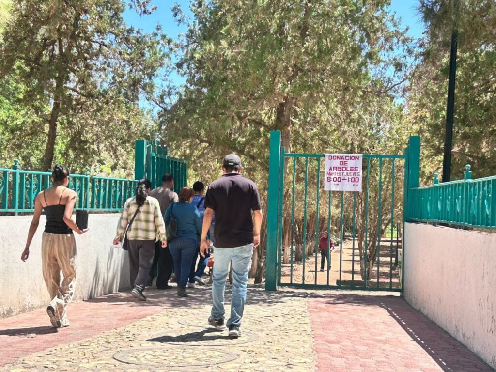 3. 04-jun-25 ¡Llévese un árbol y refresque su calle! Entrega de árboles nativos busca transformar espacios urbanos en Juárez (2)