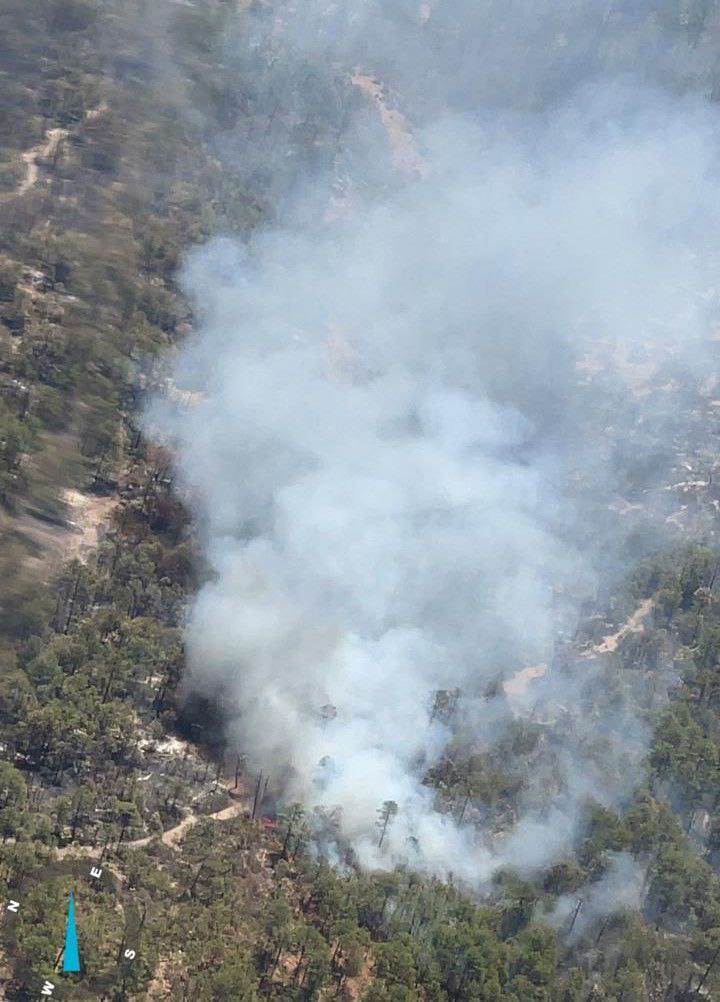 4. 10-jun-25 Activan operativo aéreo por incendios forestales en la región de Ocampo (4)