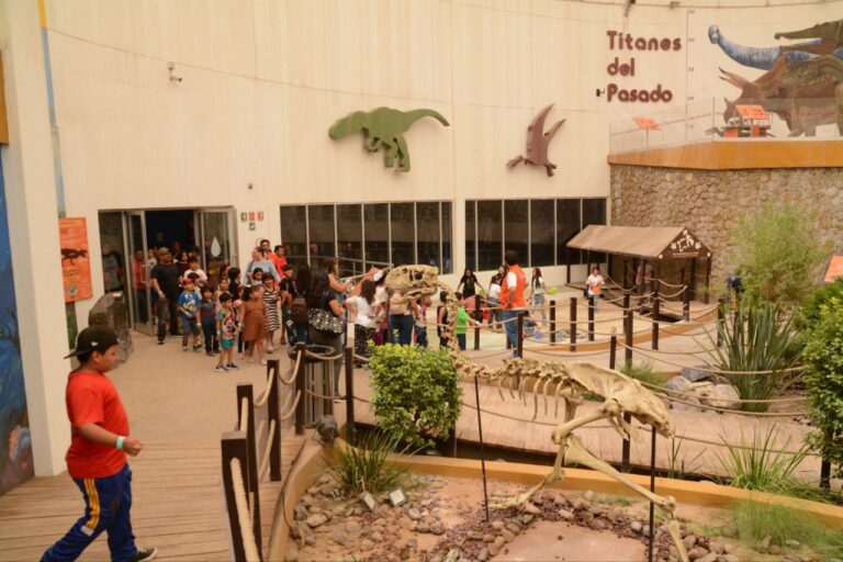 4. 19-jul-25 Niños visitan La Rodadora como parte de campamentos de verano (1)