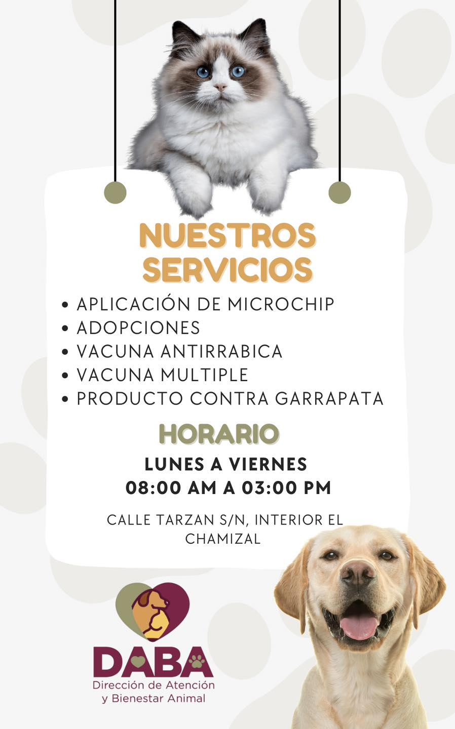 4. 20-ago-25 Servicios gratuitos de bienestar animal para mascotas en Ciudad Juárez (2)